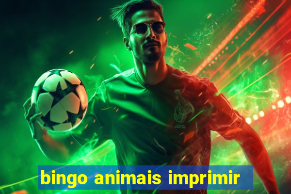 bingo animais imprimir